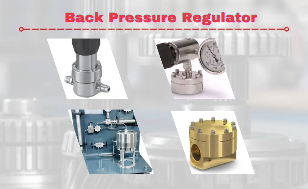 Back pressure regulator valve